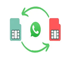 Como Mudar o Número do WhatsApp Sem Perder Conversas/Dados